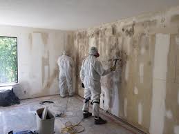 Melbourne, FL Mold Remediation Company